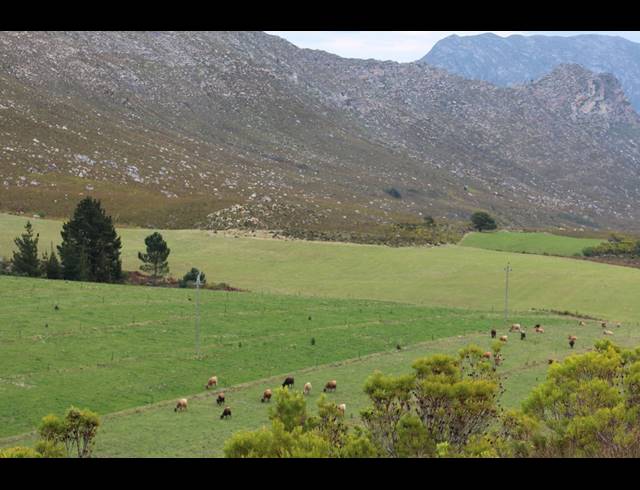 911HA FARM FOR SALE IN RIVERSDALE RURAL